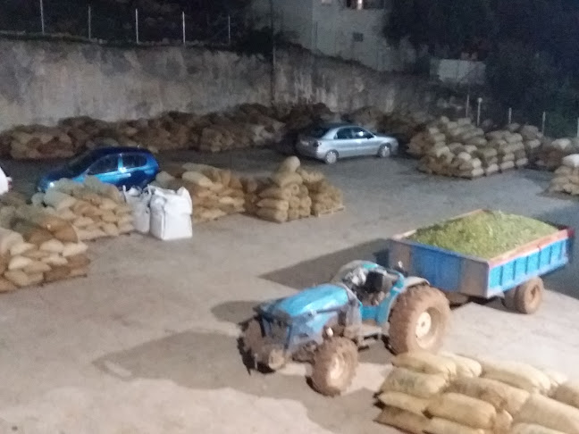 Αξιολογήσεις για το ΒΕΛΗΣΣΑΡΗΣ ΔΗΜΗΤΡΗΣ ΤΟΥ ΑΡΙΣΤΕΙΔΗ-ΕΛΑΙΟΤΡΙΒΕΙΟ στην Γαργαλιάνοι - Γυμναστήριο