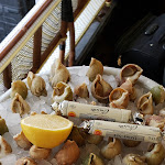 Photo n° 2 de l'avis de ILONKA.e fait le 13/01/2020 à 16:52 pour Terminus Nord à Paris