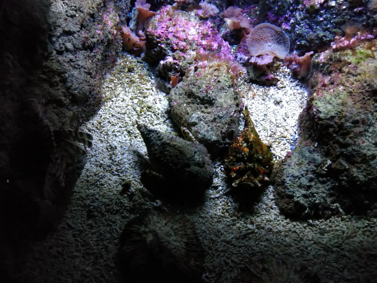 Photo n° 6 de l'avis de La.h fait le 28/10/2019 à 08:23