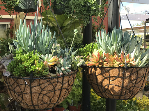 Hardware Store «Santa Barbara Home Improvement Center», reviews and photos, 415 E Gutierrez St, Santa Barbara, CA 93101, USA