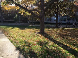 Main Quad - photo 58