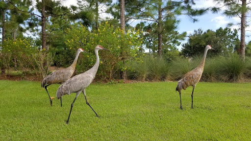 Community Center «Waterset by Newland Communities», reviews and photos, 7012 Sail View Ln, Apollo Beach, FL 33572, USA