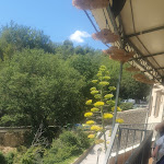 Photo n° 2 de l'avis de Alexandre.a fait le 04/08/2023 à 17:03 pour Le Rhumarin à Sainte-Croix-du-Verdon