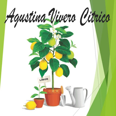 Vivero Citrico Agustina