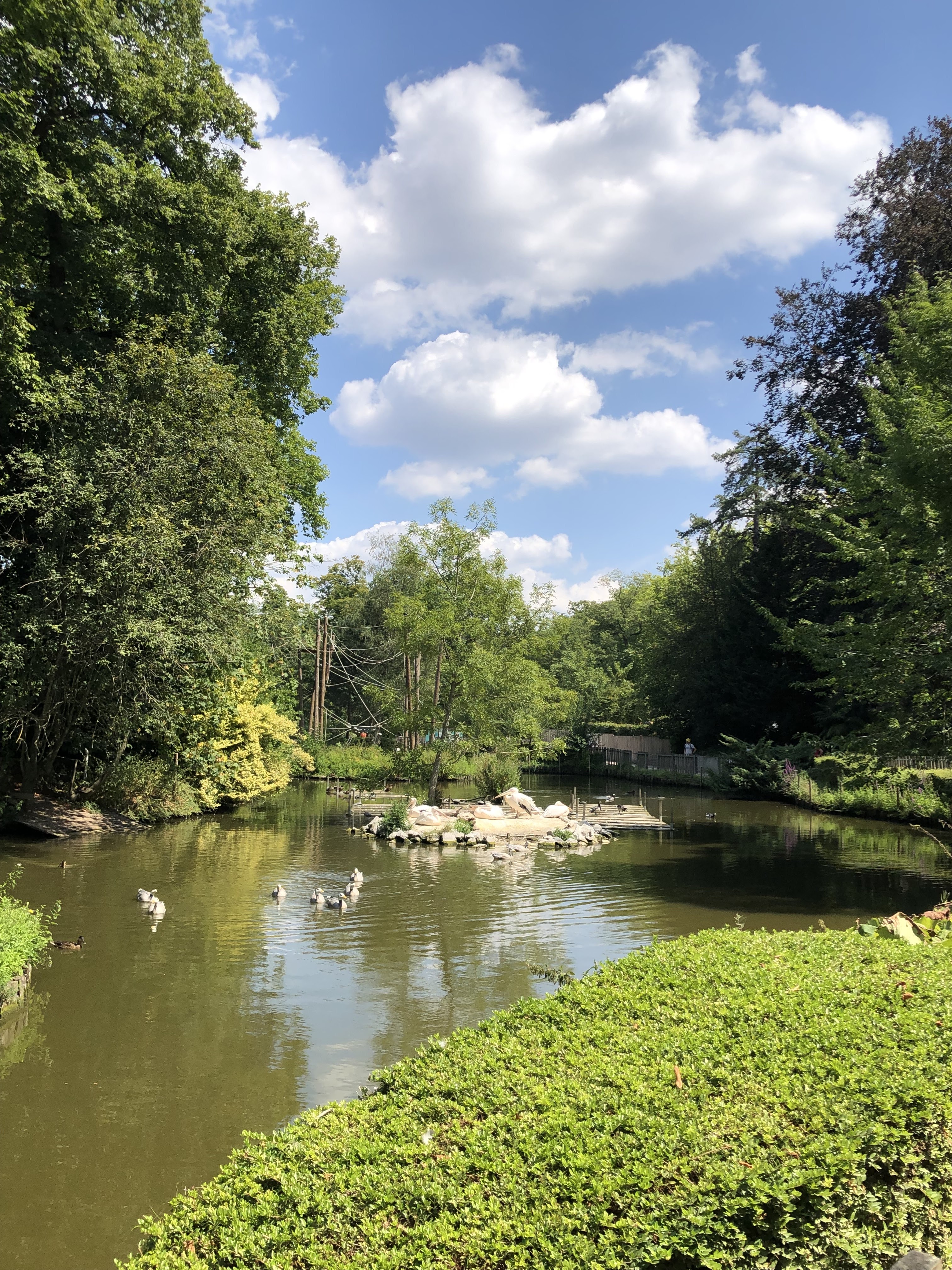 Photo n° 3 de l'avis de Adèle.u fait le 08/08/2022 à 13:07