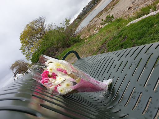 Park «Good Harbor Beach», reviews and photos, 99 Thatcher Rd, Gloucester, MA 01930, USA
