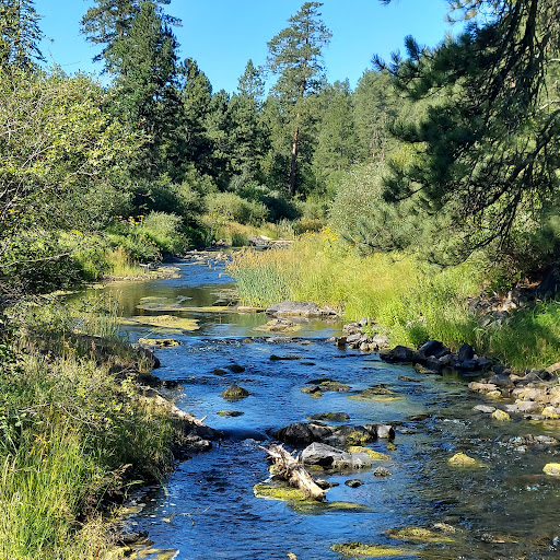 Spring Creek Trailhead