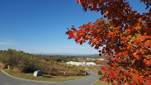 Tourist Attraction «French Broad Overlook», reviews and photos, 3938 Blue Ridge Pkwy, Arden, NC 28704, USA
