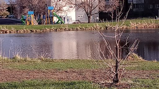 Park «Bell Roth Park», reviews and photos, Milky Way, Thornton, CO 80260, USA