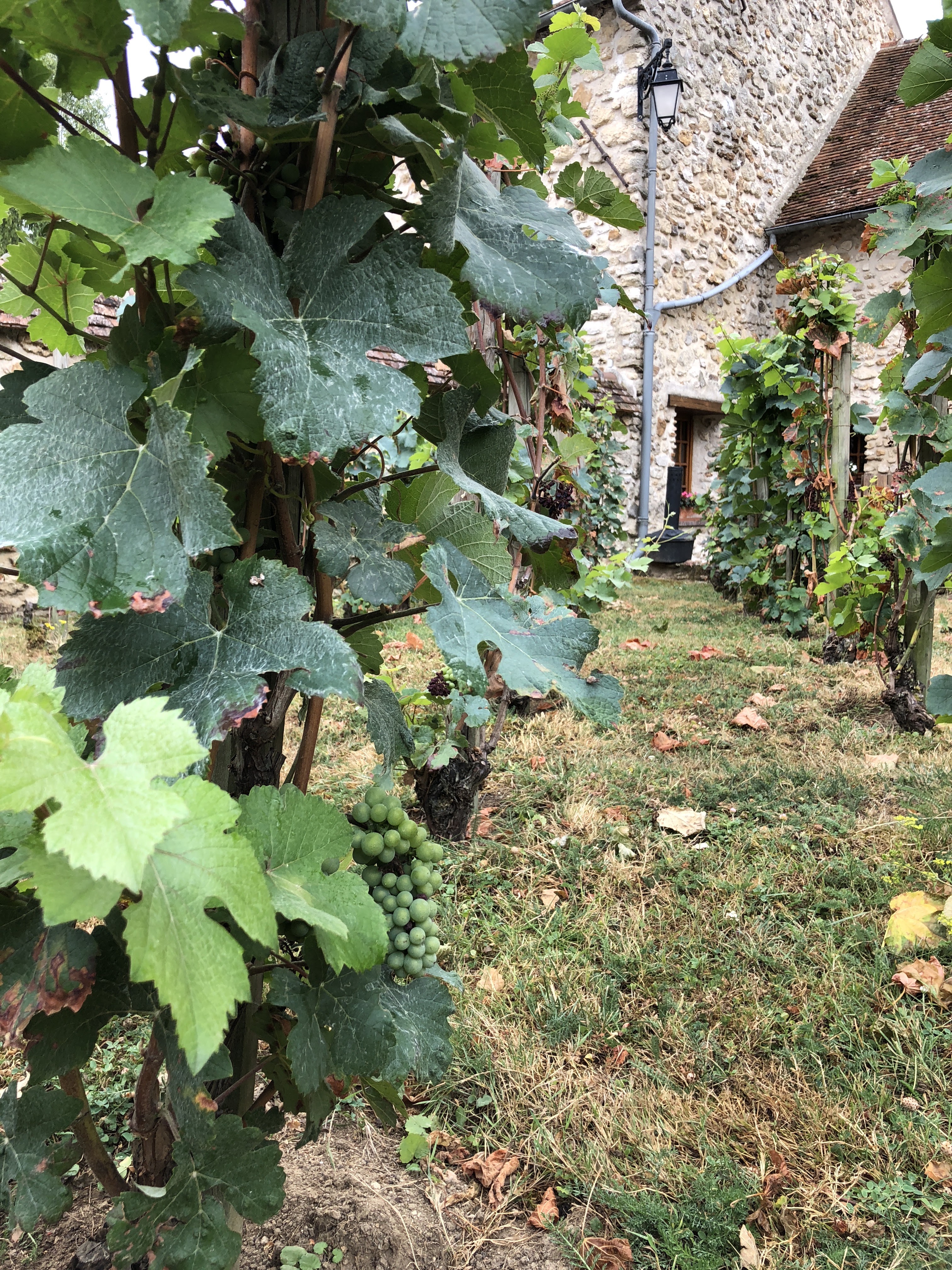 Photo n° 9 de l'avis de Rick.o fait le 10/08/2018 à 06:46