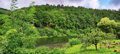 Les Rhodos à Thilay