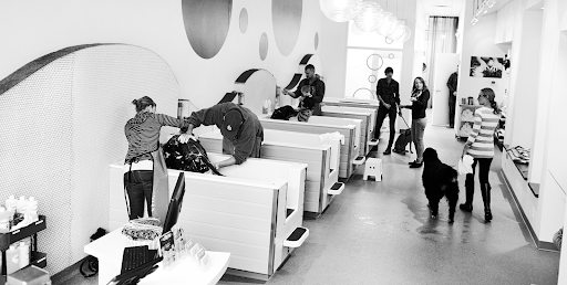 Pet Groomer «Bubbly Paws Dog Wash & Grooming», reviews and photos, 949 Grand Ave, St Paul, MN 55105, USA