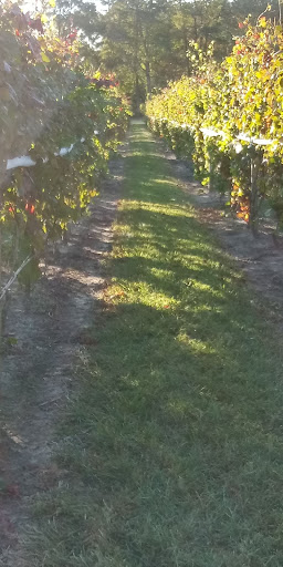 Winery «Salted Vines Vineyard & Winery», reviews and photos, 32512 Rd 374, Frankford, DE 19945, USA
