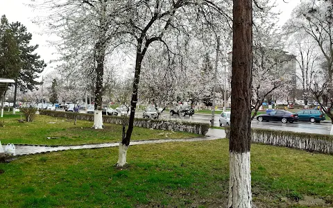 Parcul Central image
