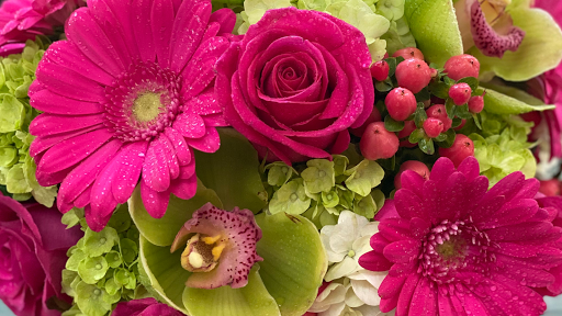 Florist «Tall Tree Floral Designs», reviews and photos, 143 Medford Ave, Patchogue, NY 11772, USA