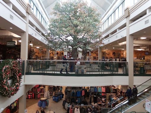 Sporting Goods Store «SCHEELS», reviews and photos, 1850 Adams St, Mankato, MN 56001, USA