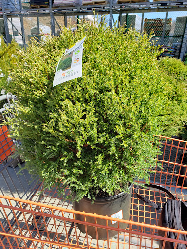 Home Improvement Store «The Home Depot», reviews and photos, 106 Route 23, Riverdale, NJ 07457, USA