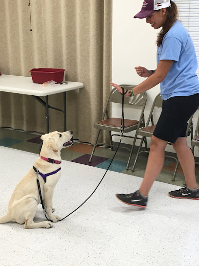 MuttSchool: dog training and behavior