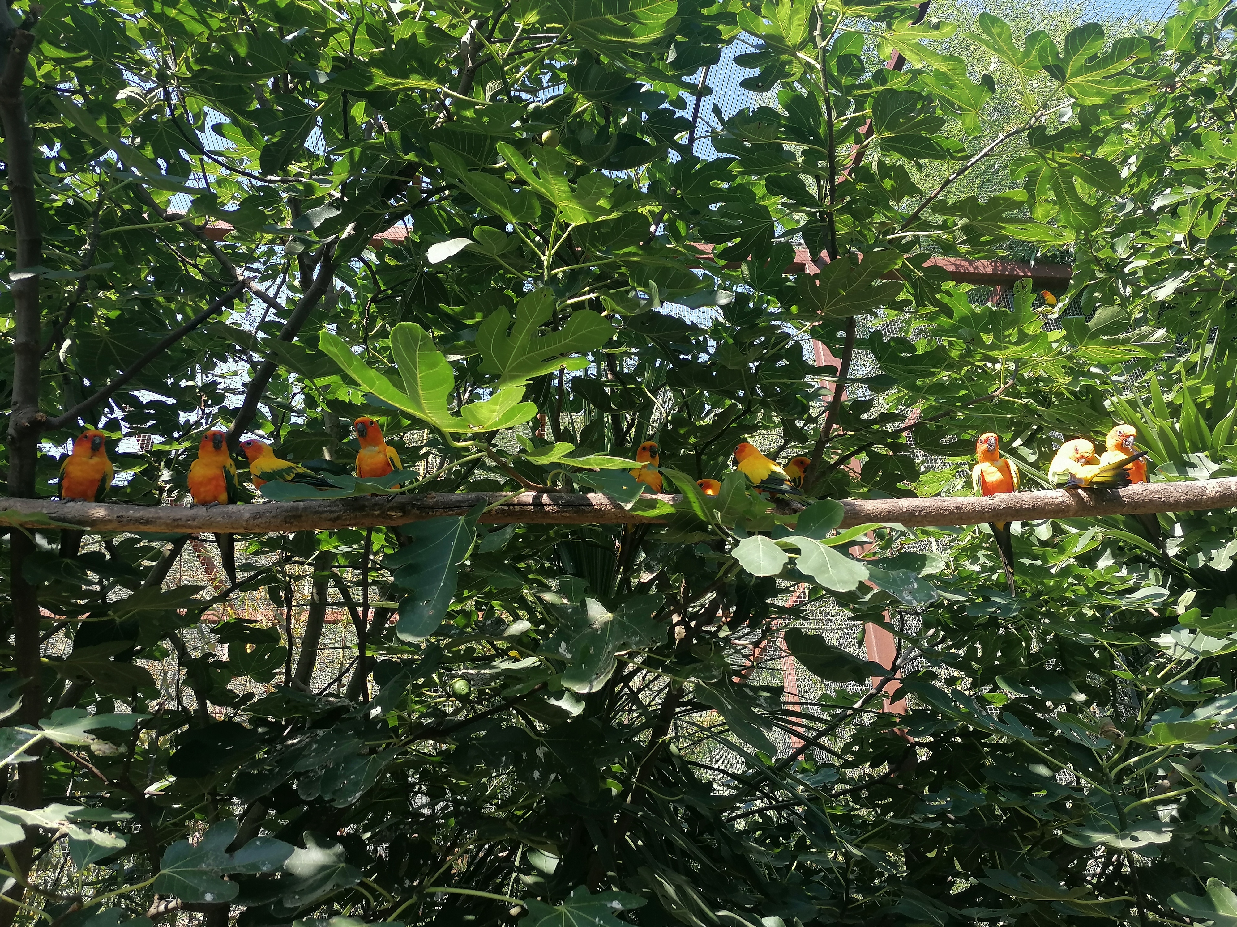 Photo n° 17 de l'avis de Gilles.. fait le 23/08/2023 à 12:57