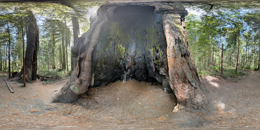 Nature Preserve «LandPaths Grove of Old Trees», reviews and photos, 17599 Fitzpatrick Ln, Occidental, CA 95465, USA