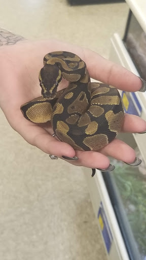 Pet Supply Store «PetSmart», reviews and photos, 9887 76th St, Pleasant Prairie, WI 53158, USA