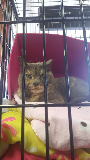 Shopping Mall «Whitemarsh Shopping Center», reviews and photos, Butler Pike, Conshohocken, PA 19428, USA