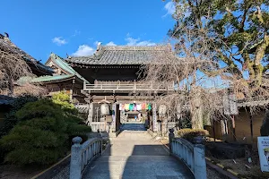 Tatsueji Temple image
