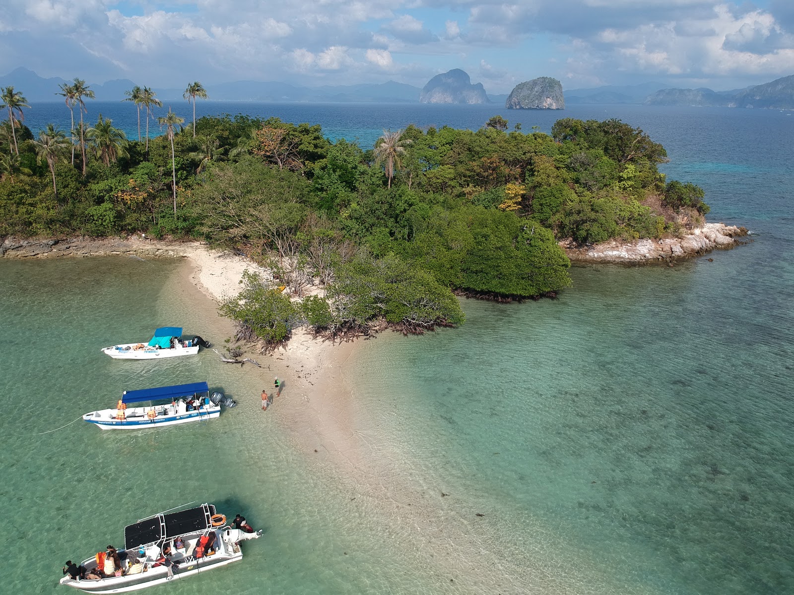 Zdjęcie Snake Island Beach - popularne miejsce wśród znawców relaksu