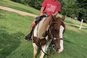 Alabama Horseback Adventures image