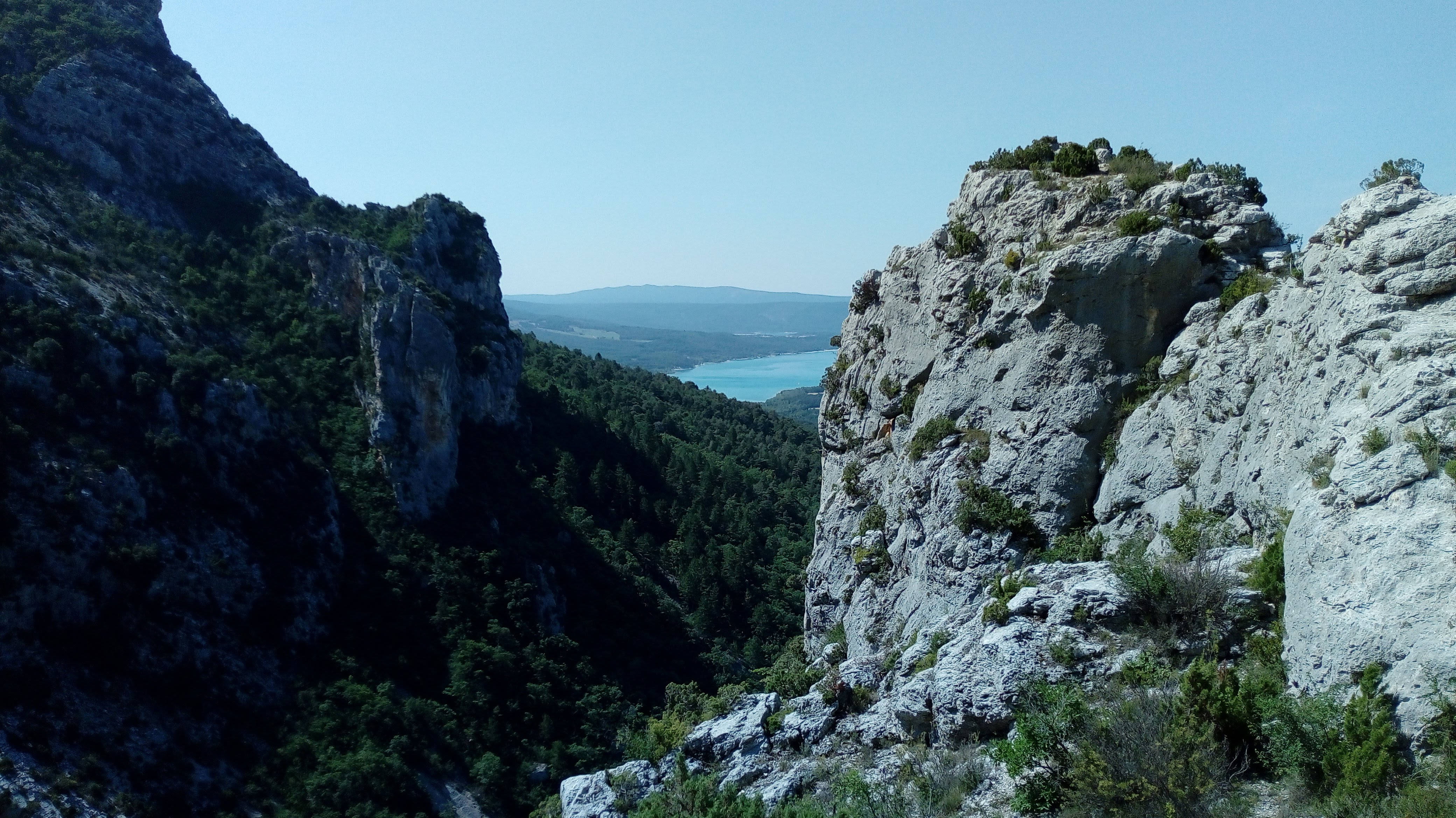 Photo n° 15 de l'avis de Tison.e fait le 20/08/2018 à 20:56