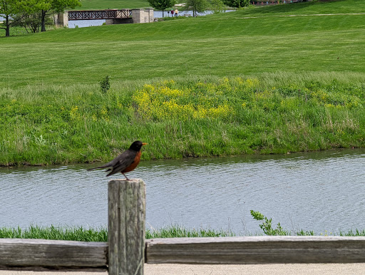 Nature Preserve «Independence Grove Forest Preserve», reviews and photos, 16400 Buckley Rd, Libertyville, IL 60048, USA