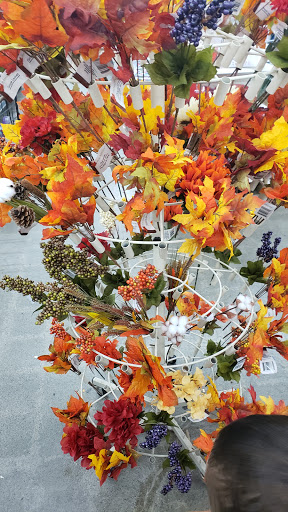 Dollar Store «Dollar Tree», reviews and photos, 3230 Jefferson St, Napa, CA 94558, USA