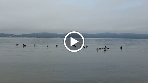 Park «Kingsland Point County Park», reviews and photos, Tarrytown Light-Kingsland Point Path, Sleepy Hollow, NY 10591, USA