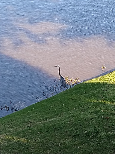 Golf Club «East Lake Golf Club», reviews and photos, 2575 Alston Dr SE, Atlanta, GA 30317, USA