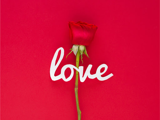 Florist «Community Florist», reviews and photos, 550 W McDowell Rd, Phoenix, AZ 85003, USA