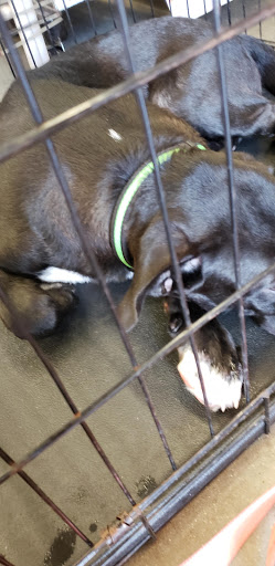 Pet Supply Store «Petco Animal Supplies», reviews and photos, 7303 Pinnacle Pkwy, Covington, LA 70433, USA