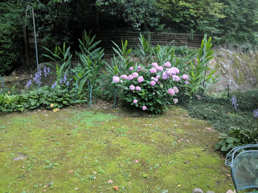 State Park «Vicksburg National Military Park», reviews and photos, 3201 Clay St, Vicksburg, MS 39183, USA