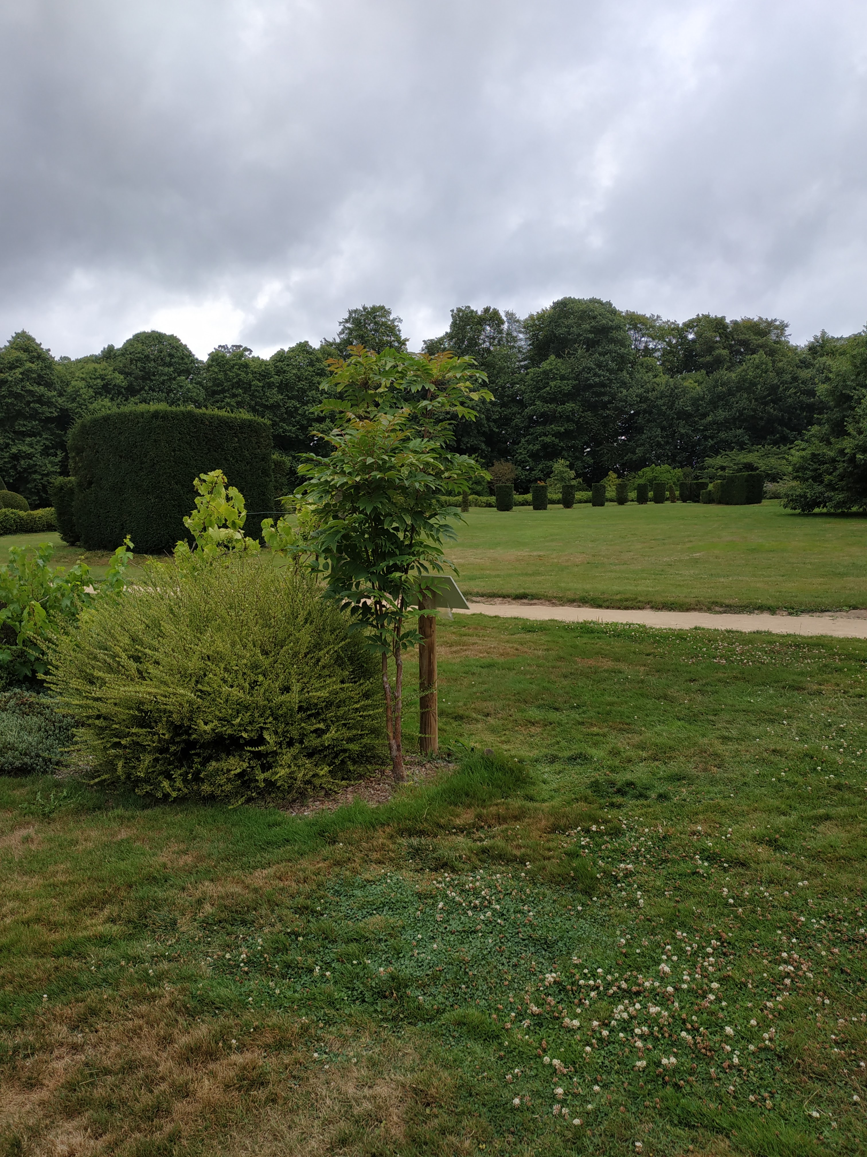 Photo n° 15 de l'avis de e.i fait le 05/08/2019 à 16:01