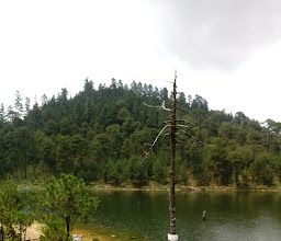 Reserva Natural photo