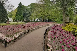 Gorsedd Gardens image