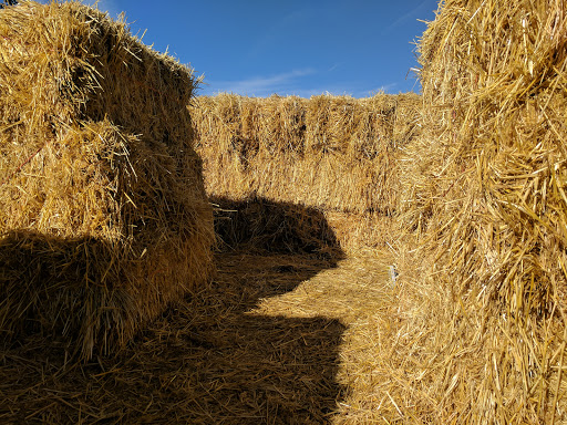 Botanical Garden «The Hudson Gardens & Event Center», reviews and photos, 6115 S Santa Fe Dr, Littleton, CO 80120, USA