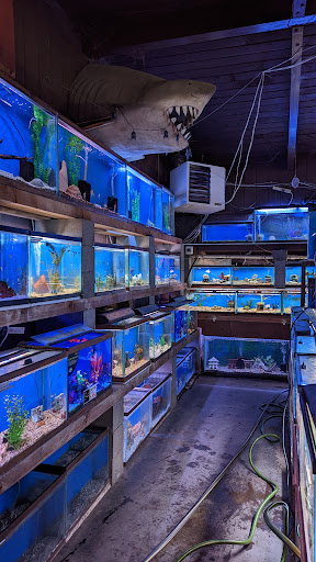 Tropical Fish Store «Midway Tropical Fish & Pets», reviews and photos, 24101 Pacific Hwy S, Kent, WA 98032, USA