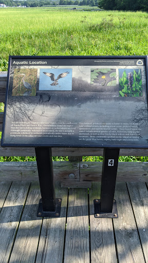 Park «Government Island», reviews and photos, 191 Coal Landing Road, Stafford, VA 22554, USA