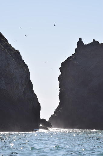 Sail Channel Islands image