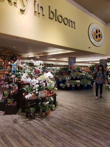 Shopping Mall «Vacaville Commons Shopping Center», reviews and photos, 2098 Harbison Dr, Vacaville, CA 95687, USA