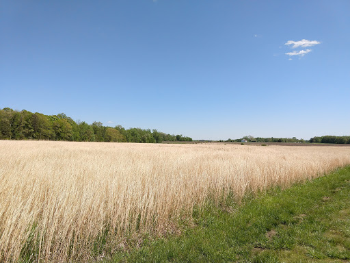 Richmond National Battlefield Malvern Hill Trail