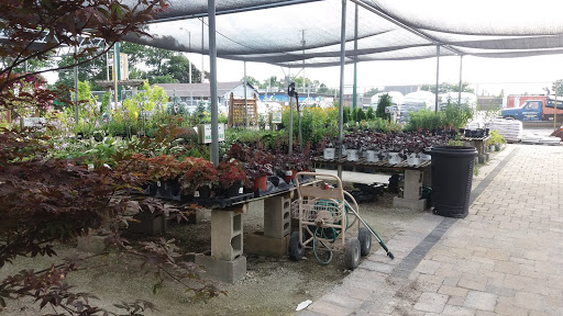 Florist «James Saunoris & Sons», reviews and photos, 6000 W 111th St, Chicago Ridge, IL 60415, USA