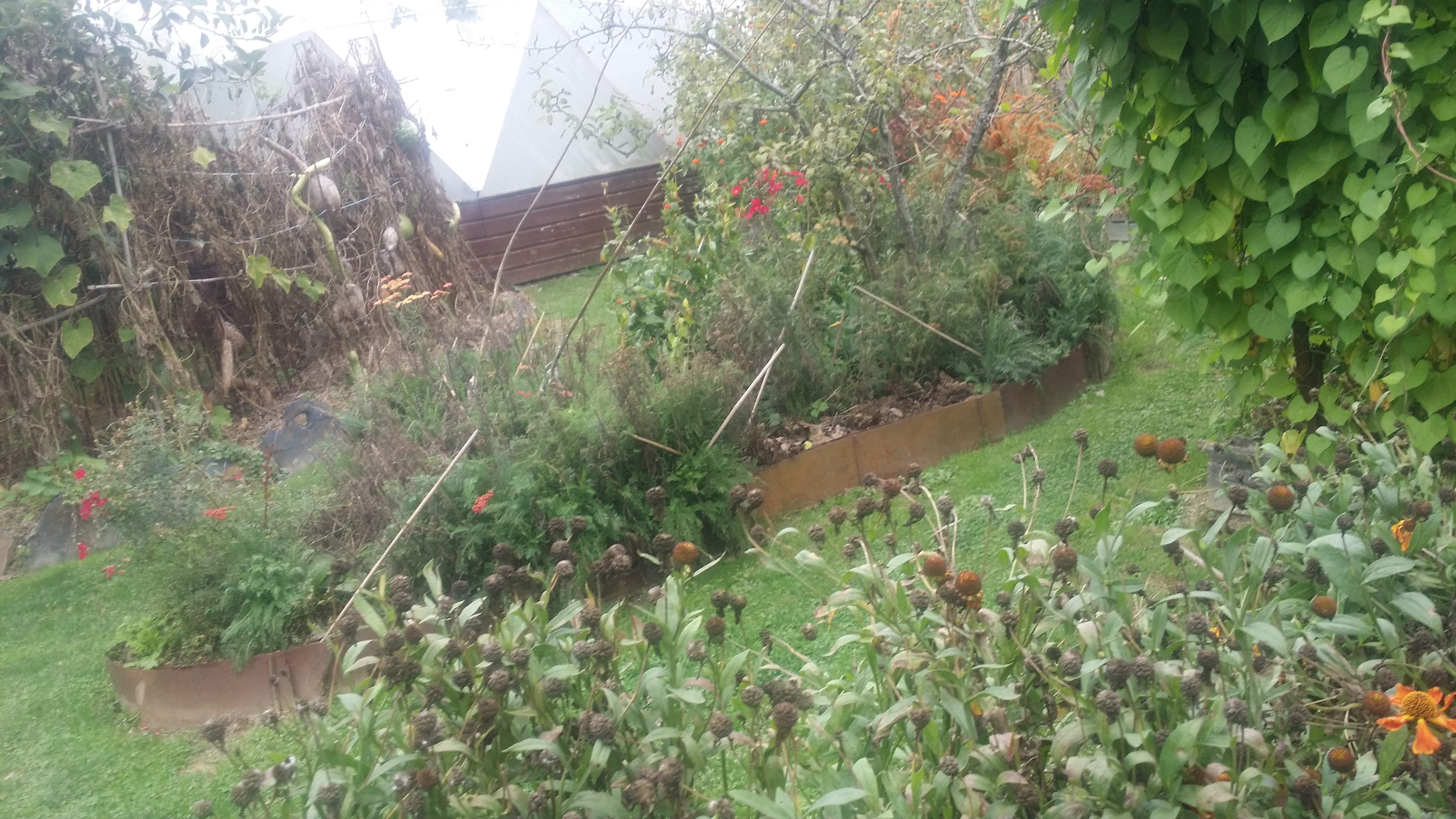 Photo n° 15 de l'avis de Alain.o fait le 05/10/2019 à 14:06