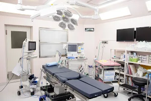 Kodaira Hospital image