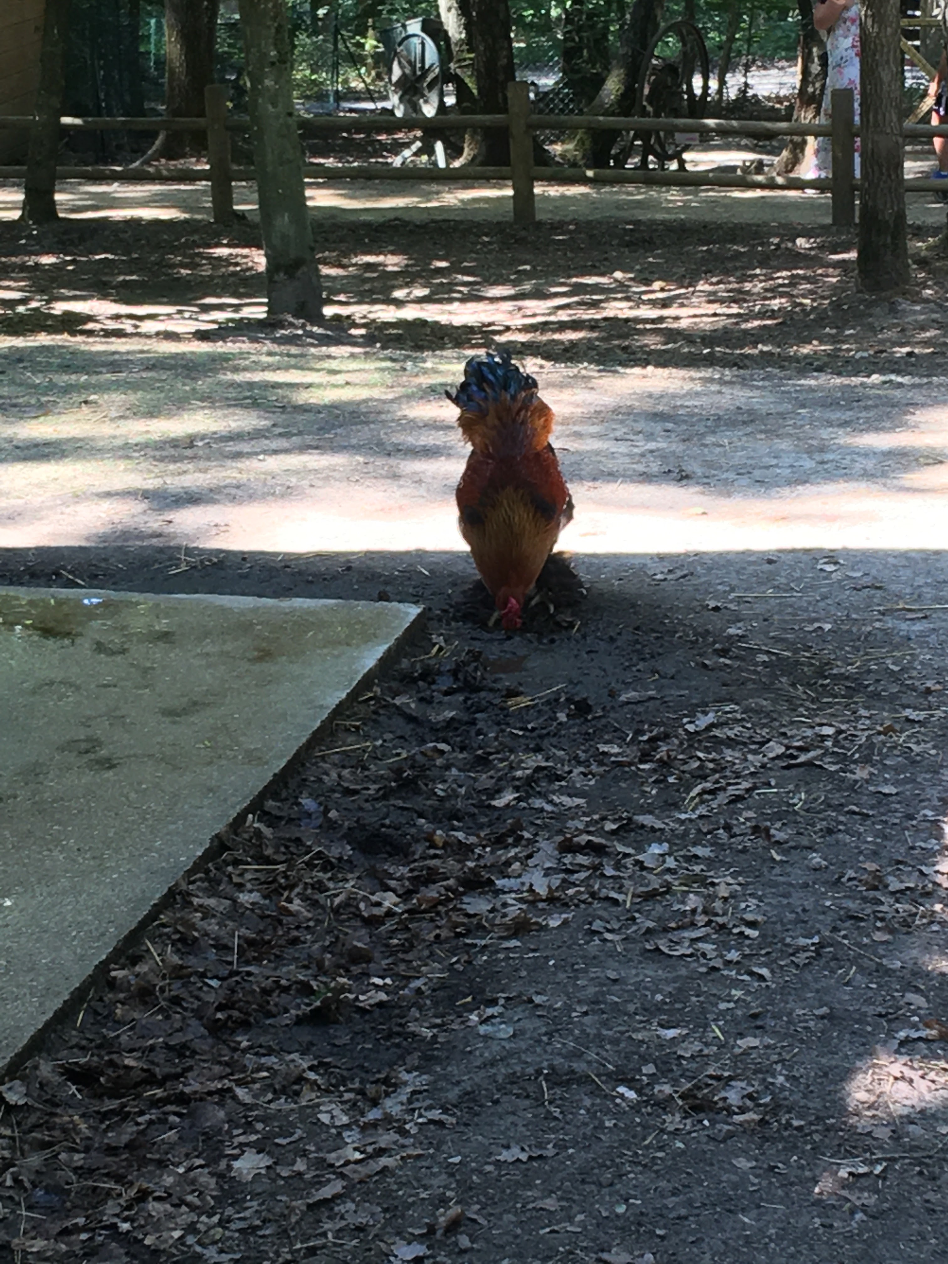 Photo n° 26 de l'avis de Kad.o fait le 12/07/2020 à 13:08